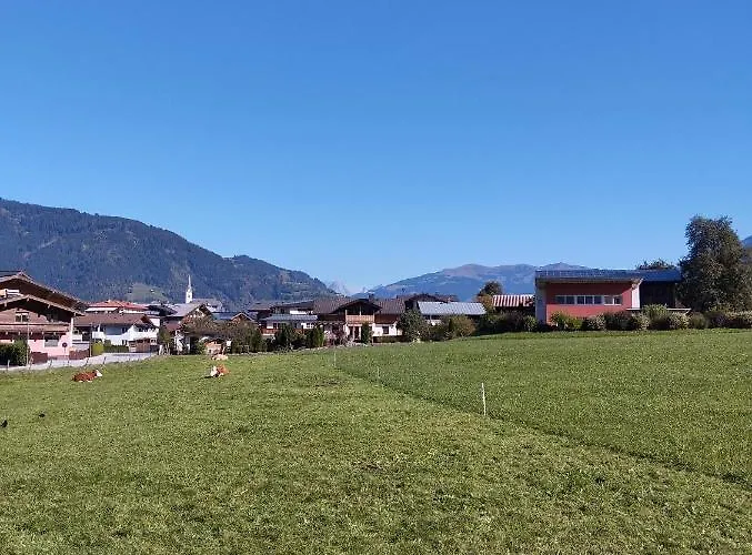 Paulina * كابرون